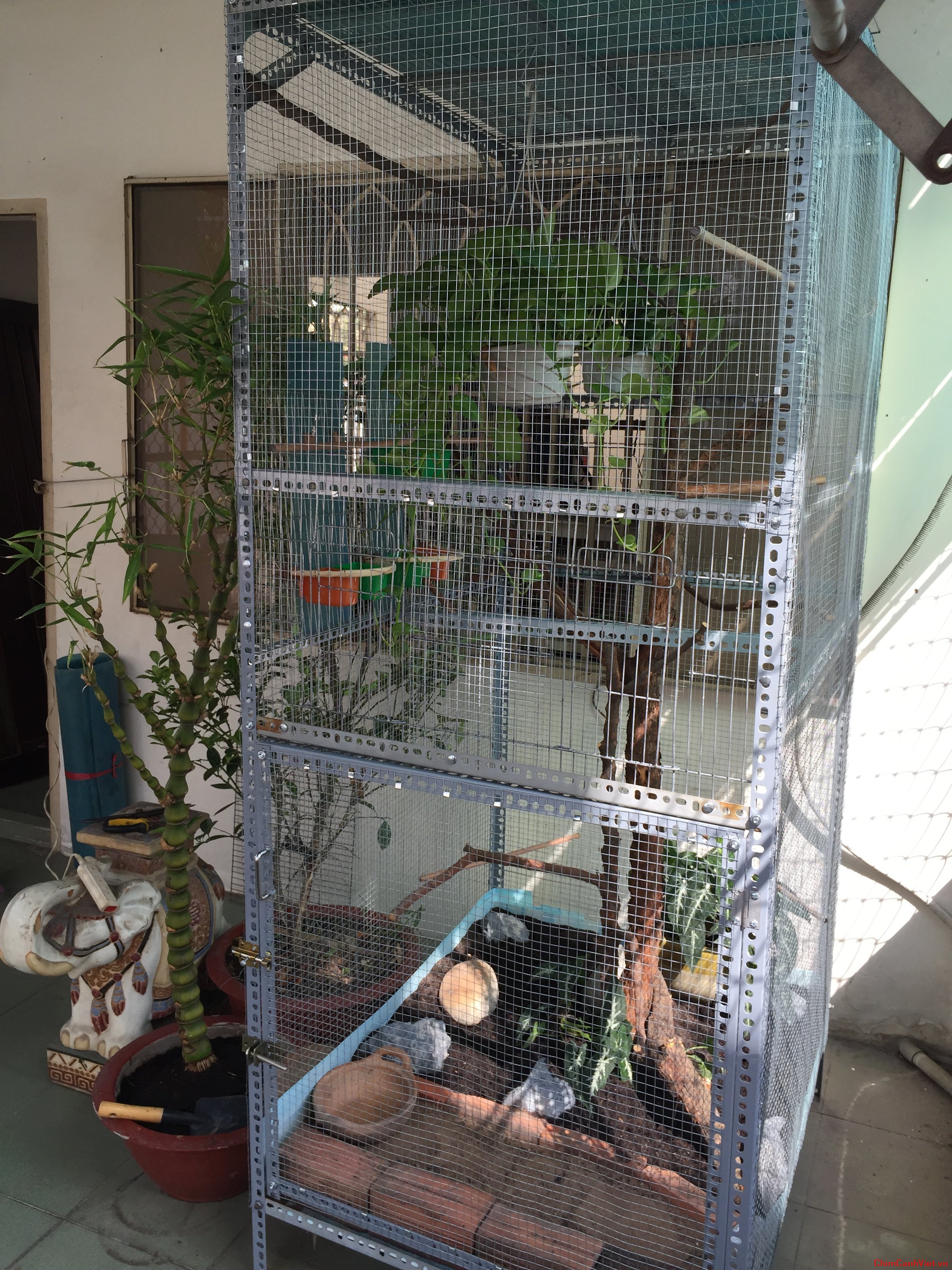 Kỹ sư ở Hà Nội "mang quê vào phố", làm vườn, nuôi chim trên nóc nhà | Báo  Dân trí