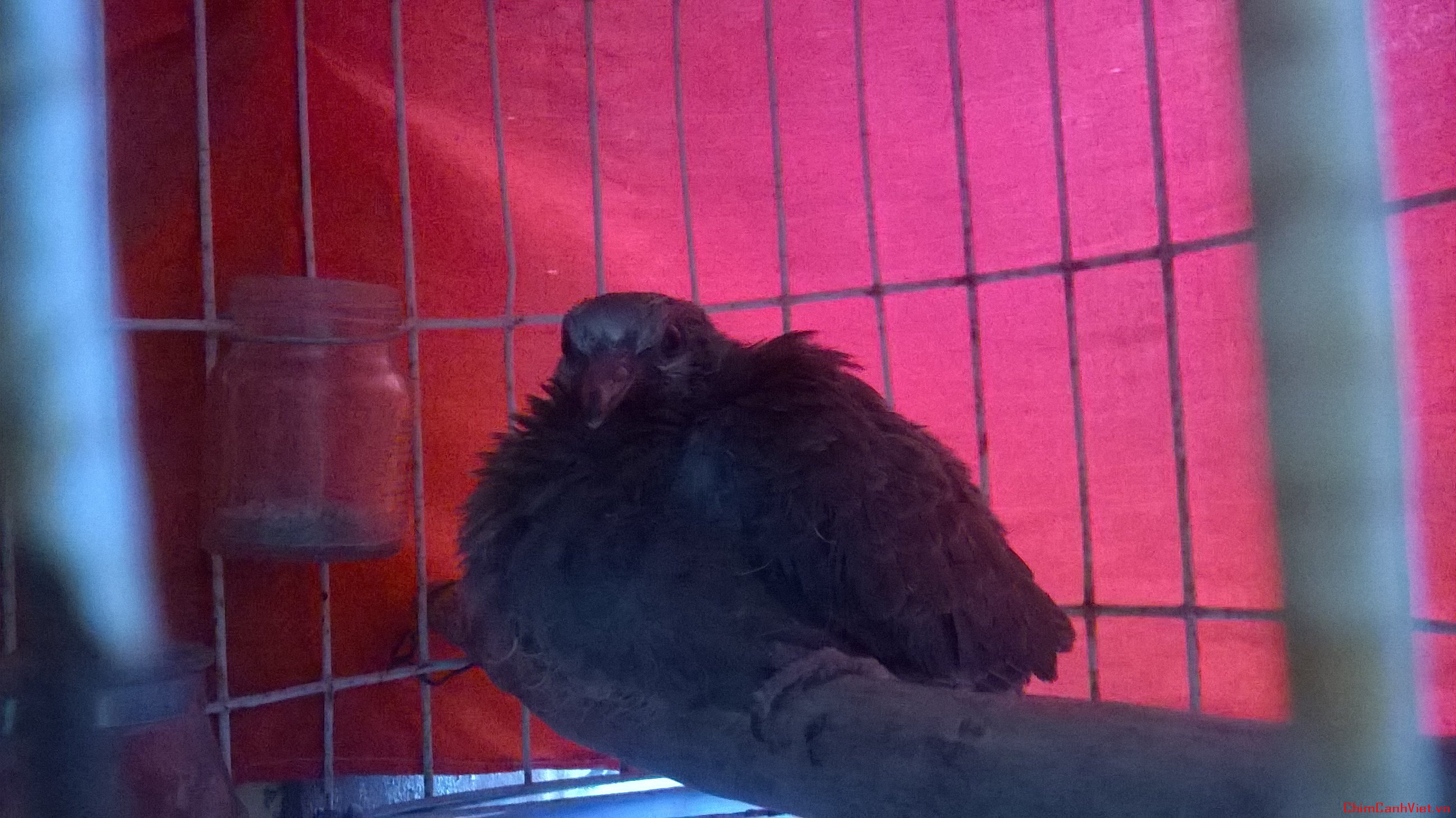 wp_20160407_002-jpg.13252.html