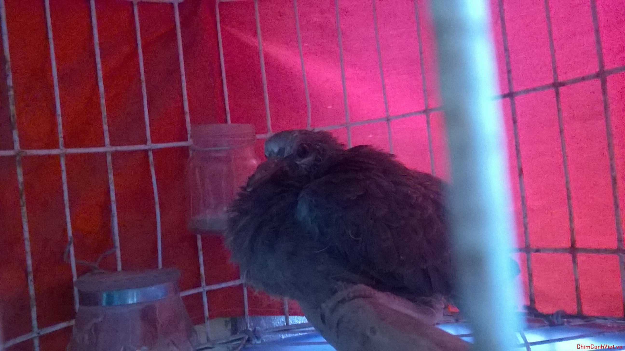 wp_20160407_003-jpg.13253.html