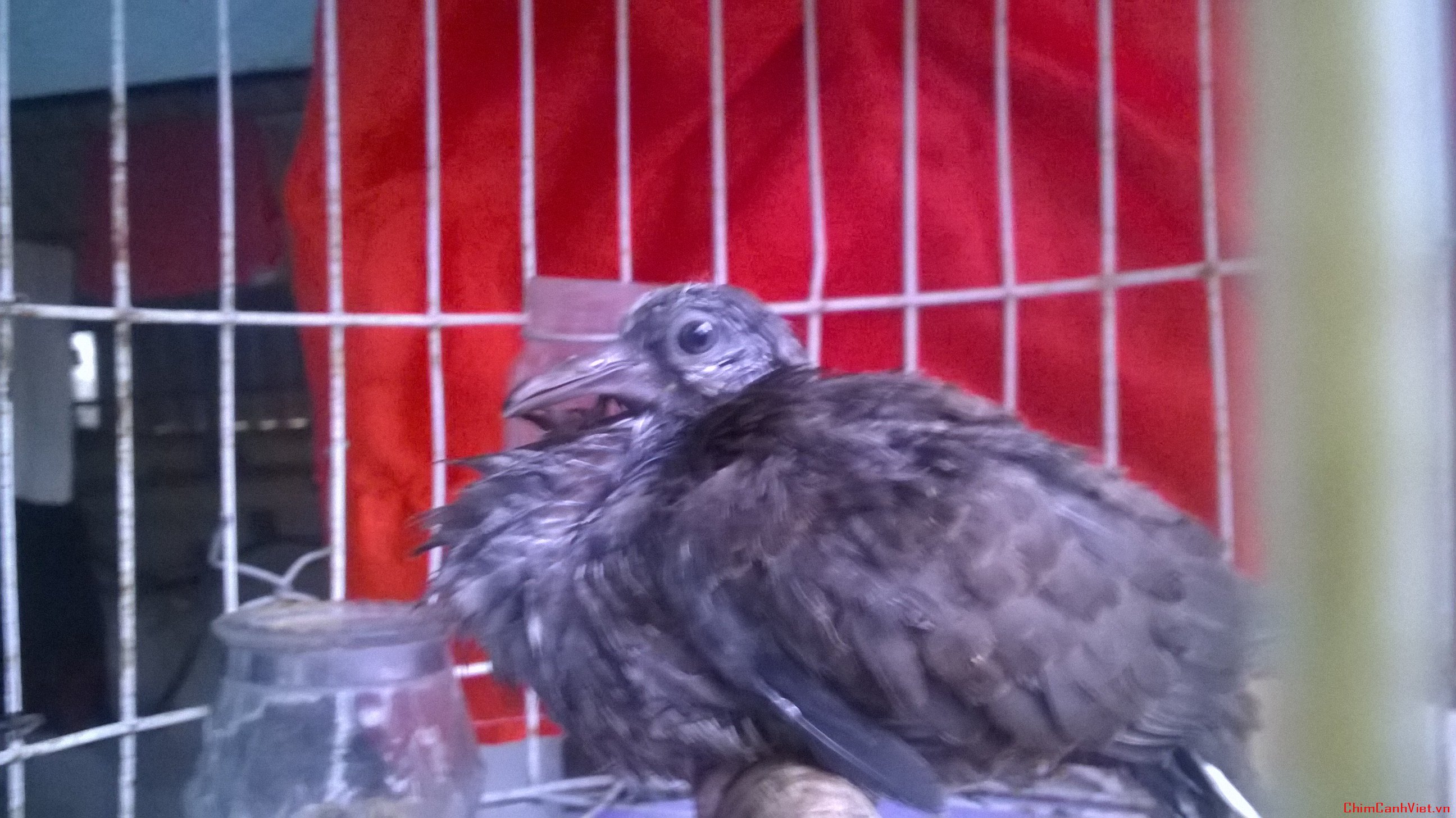 wp_20160407_004-jpg.13255.html