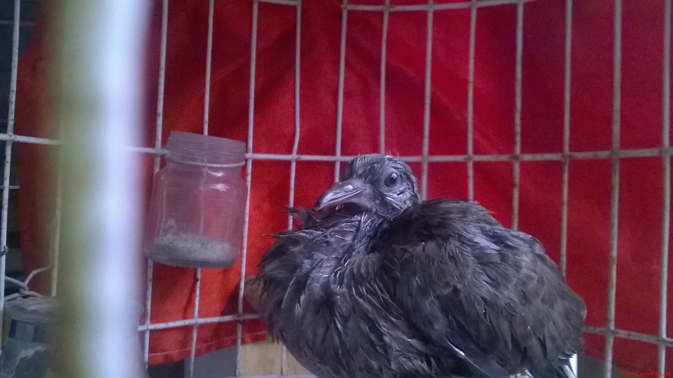 wp_20160407_005-jpg.13256.html