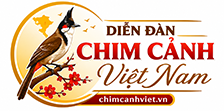 Diễn Đàn Chim Cảnh Việt Nam
