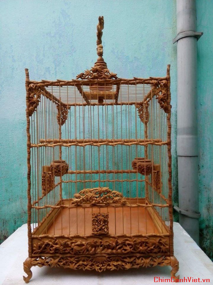 11891004_593191067485414_7777244141829281965_n (1).jpg