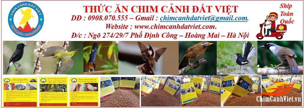 baner chimcanhdatviet.jpg