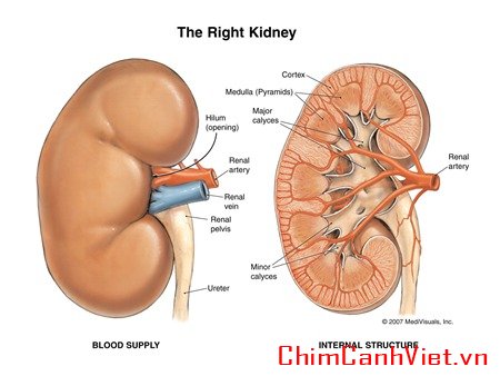 moi-ngay-1-phut-giai-doc-than-ban-khong-nen-bo-qua-1.jpg