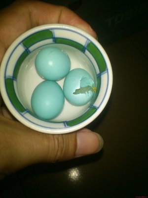 DSC_1107.JPG DSC_1107.JPG