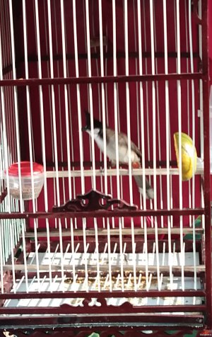 IMG_20171205_081822.JPG IMG_20171205_081822.JPG