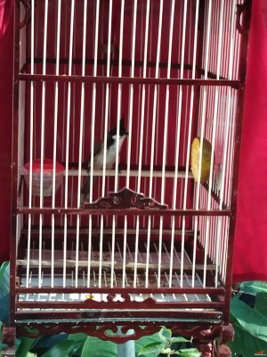 IMG_20171205_083825_1.jpg IMG_20171205_083825_1.jpg