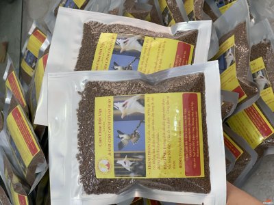 Cám Chào Mào cdv5.JPG