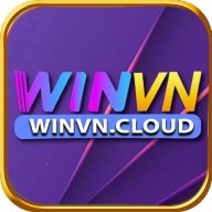 winvncloud