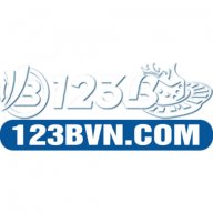 123bvninfo