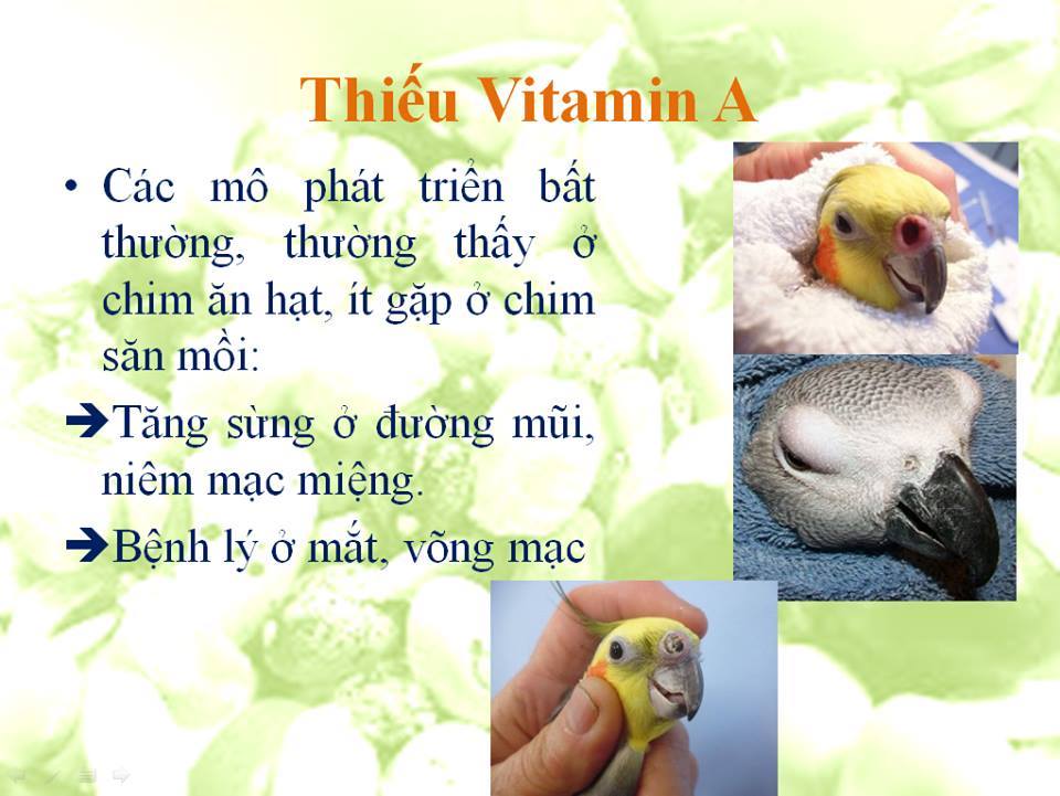 thieu vitamin a