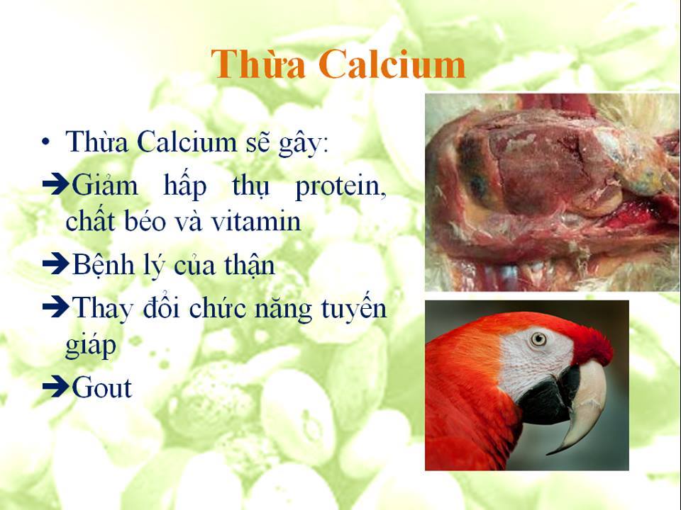 thua cacium