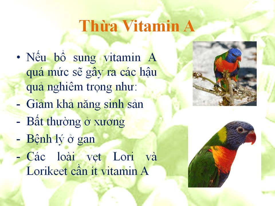 thua vitamina