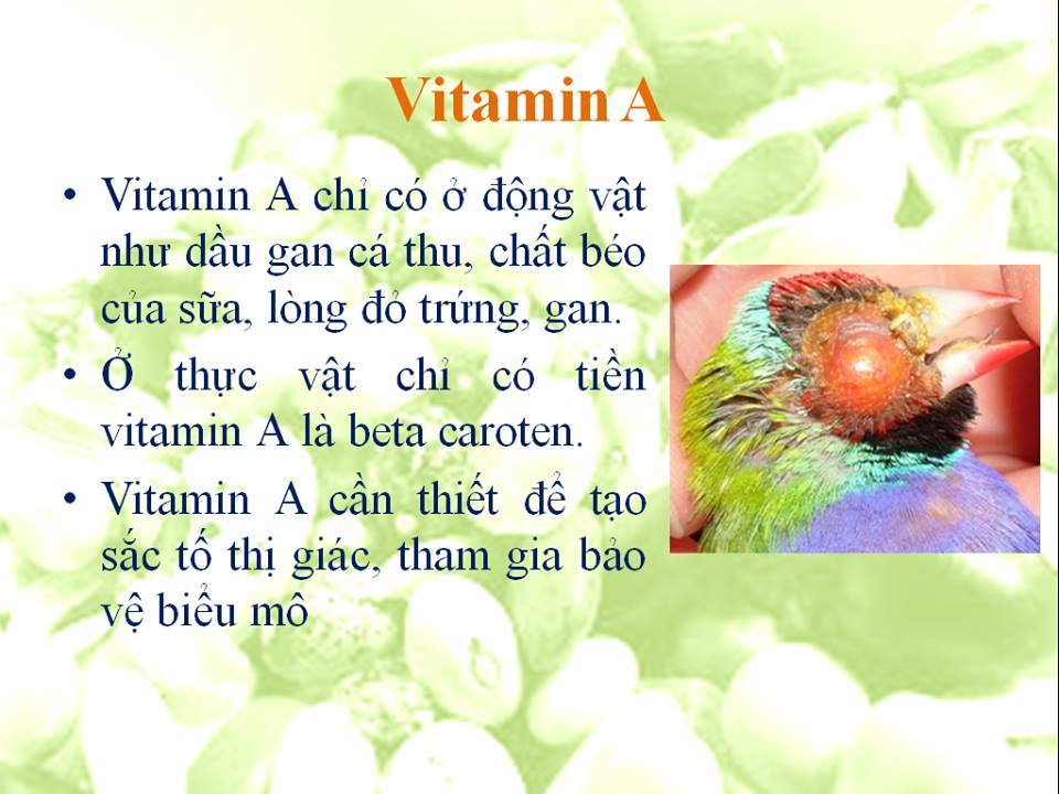 vitamina