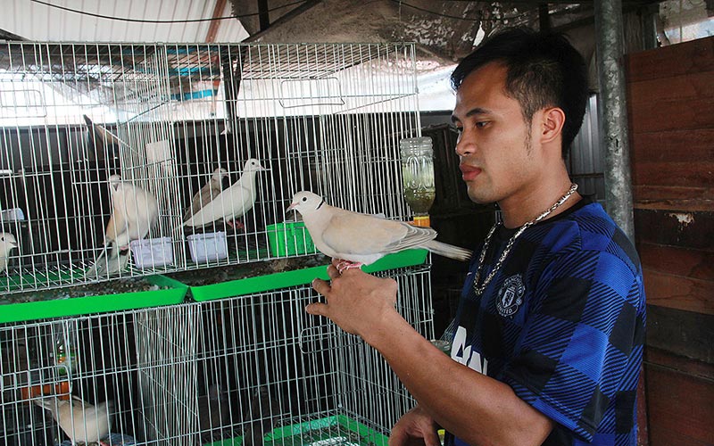 Bí kíp không tưởng dạy chim thành “ca sĩ”