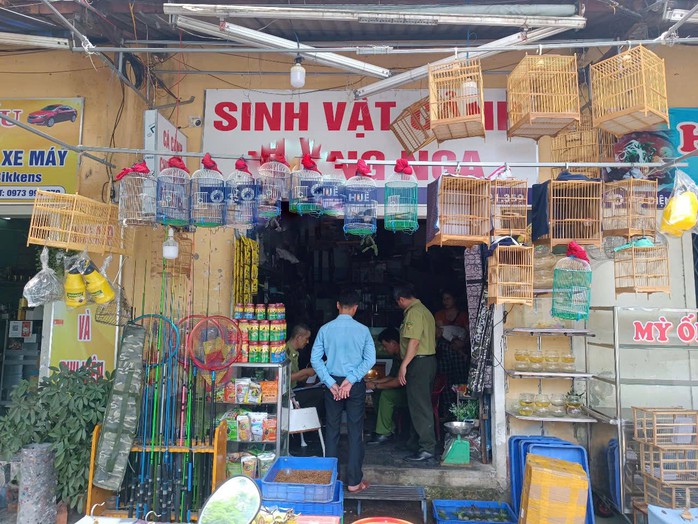 Thế nào là chim có nguồn gốc hợp pháp, đăng ký nuôi chim cảnh thủ tục ra sao? - Ảnh 1.