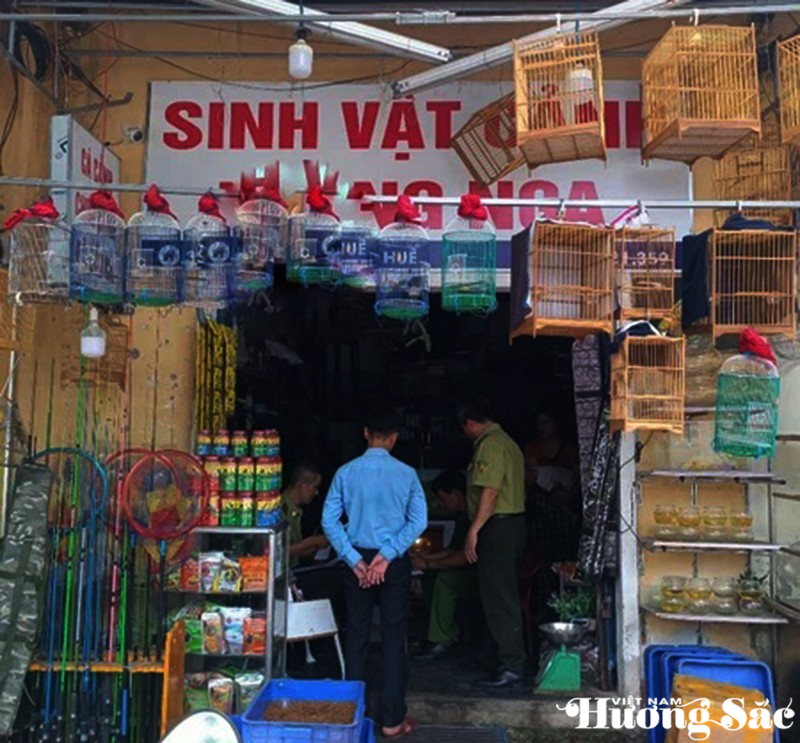 Nuôi nhốt chim hoang dã: Những thủ tục bắt buộc phải hoàn thiện