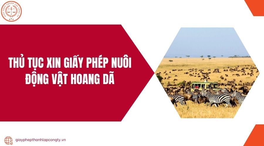 Thủ tục xin giấy phép nuôi động vật hoang dã